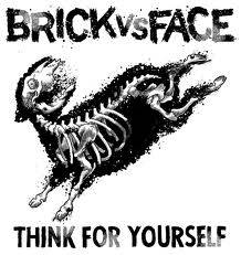 Brick Vs Face : Think for Yourself